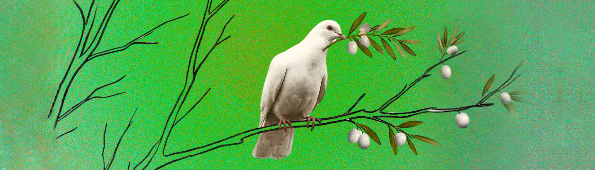 Konferencja - Wolność Człowieka - wybieramy wartości